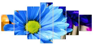 Modrá chryzantéma - obrazy (Obraz 210x100cm)
