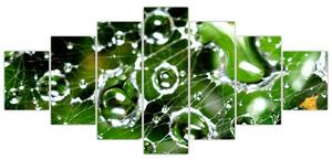 Kvapky vody - obrazy (Obraz 210x100cm)