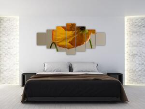 Žltý kvet - obraz (Obraz 210x100cm)
