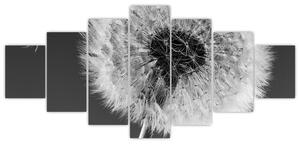 Odkvitnutá púpava - obraz kvetín (Obraz 210x100cm)