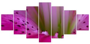 Detail kvetu - moderný obraz (Obraz 210x100cm)