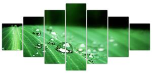 Kvapky vody - obraz (Obraz 210x100cm)
