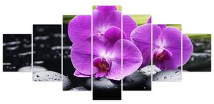Obraz - orchidea (Obraz 210x100cm)