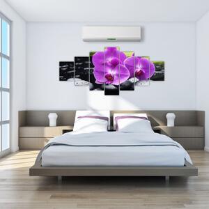Obraz - orchidea (Obraz 210x100cm)