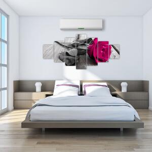 Ruže fialová - obraz (Obraz 210x100cm)