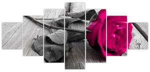Ruže fialová - obraz (Obraz 210x100cm)