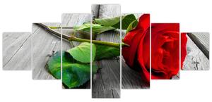 Ruža červená - obraz (Obraz 210x100cm)