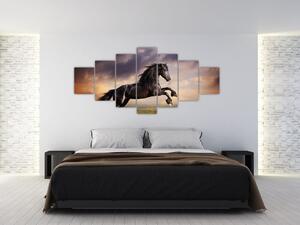 Kôň - obraz (Obraz 210x100cm)