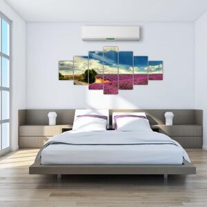 Levanduľové polia - obraz (Obraz 210x100cm)