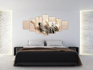 Obraz zebry (Obraz 210x100cm)