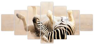 Obraz zebry (Obraz 210x100cm)