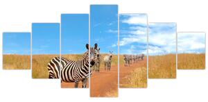 Zebra na ceste - obraz (Obraz 210x100cm)