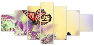 Motýle - obraz (Obraz 210x100cm)