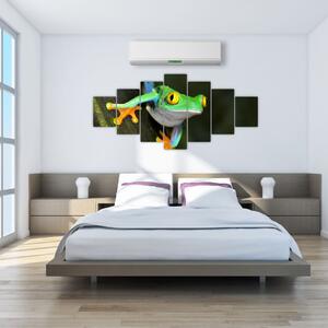 Žaba - obraz (Obraz 210x100cm)