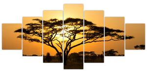 Fotka stromu - obraz (Obraz 210x100cm)