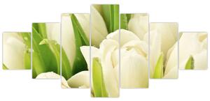 Detail tulipánov - obraz (Obraz 210x100cm)