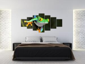 Žaba - obraz (Obraz 210x100cm)