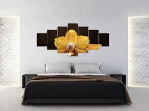 Obraz orchidey (Obraz 210x100cm)