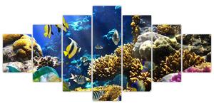 Podmorský svet - obraz (Obraz 210x100cm)