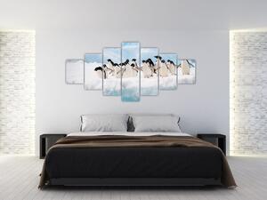 Tučniaci - obraz (Obraz 210x100cm)