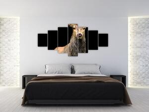 Jelen - obraz (Obraz 210x100cm)