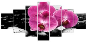 Obraz orchideí (Obraz 210x100cm)