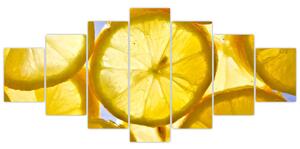 Plátky citrónov - obraz (Obraz 210x100cm)