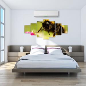 Včela - obraz (Obraz 210x100cm)