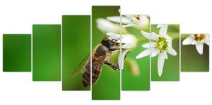 Fotka včely - obraz (Obraz 210x100cm)