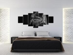 Obraz opice (Obraz 210x100cm)