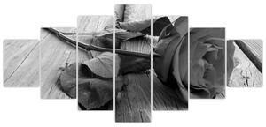 Obraz čiernobiele ruže (Obraz 210x100cm)