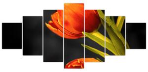 Obraz tulipánov (Obraz 210x100cm)