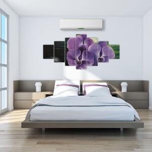 Obraz kvetov orchidey (Obraz 210x100cm)