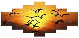 Obraz letiacich vtákov (Obraz 210x100cm)