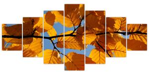 Jesenné lístie - obraz (Obraz 210x100cm)