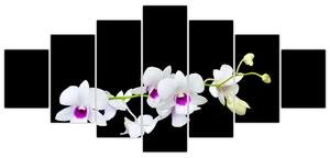 Kvetina - obraz (Obraz 210x100cm)