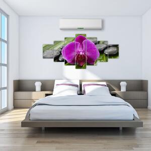 Orchidea - obraz (Obraz 210x100cm)
