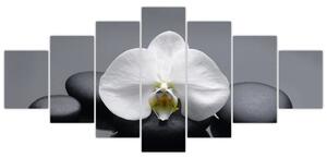 Kvet orchidey - moderný obraz (Obraz 210x100cm)