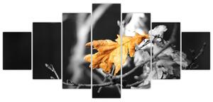 Obraz - prichádzajúce jeseň (Obraz 210x100cm)
