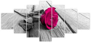 Obrazy kvetov - ruža (Obraz 210x100cm)