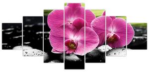 Fotka orchidey (Obraz 210x100cm)
