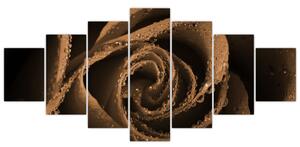 Detail ruže - obraz (Obraz 210x100cm)