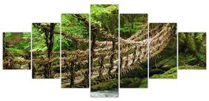 Obraz - most v prírode (Obraz 210x100cm)
