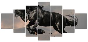 Čierny kôň, obraz (Obraz 210x100cm)