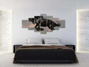 Čierny kôň, obraz (Obraz 210x100cm)