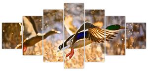 Letiaci kačice - obraz (Obraz 210x100cm)