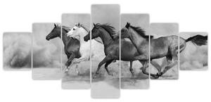 Obraz cválajúci koňov (Obraz 210x100cm)