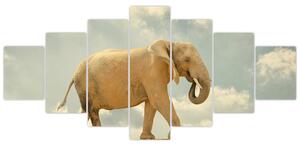 Slon na lane, obraz (Obraz 210x100cm)