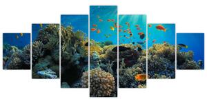 Obraz podmorského sveta (Obraz 210x100cm)