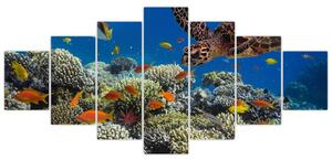 Obraz podmorského sveta (Obraz 210x100cm)